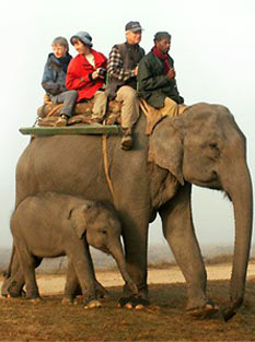 Holiday Packages India