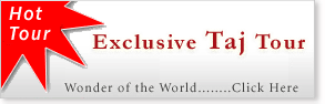 Exclusive Taj Tour